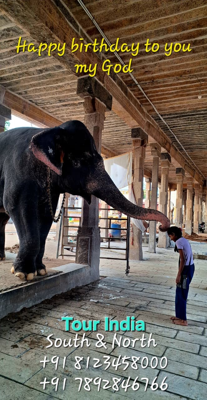 Himalayan Trekking Adventure